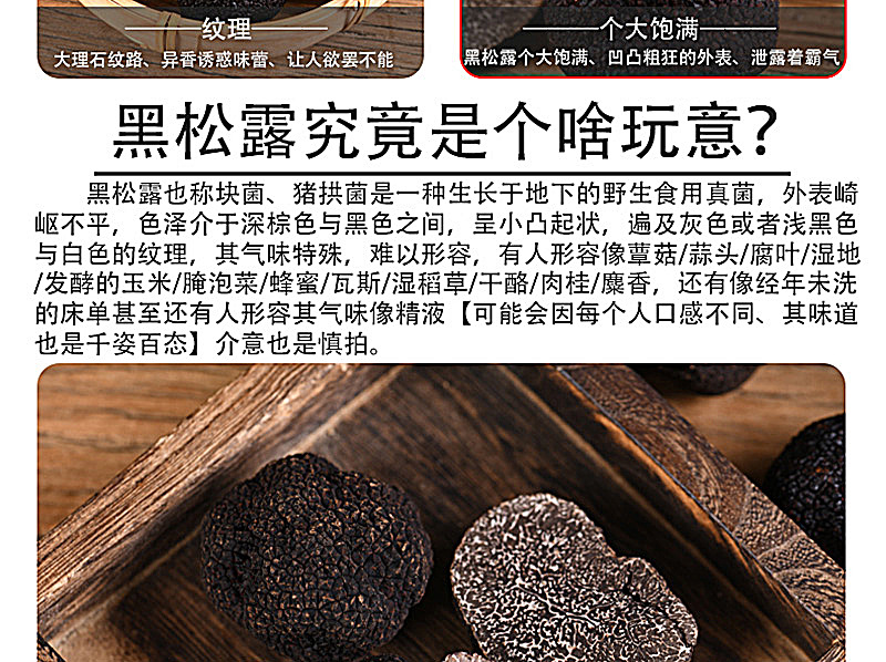 2022黑松露_05.jpg