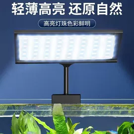 水族照明设备;水族过滤设备;其它水族用品