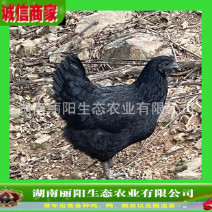 ����ֱ�u����u��ڞ��u���w�����r����B�G�����u�ʹ���׻���B