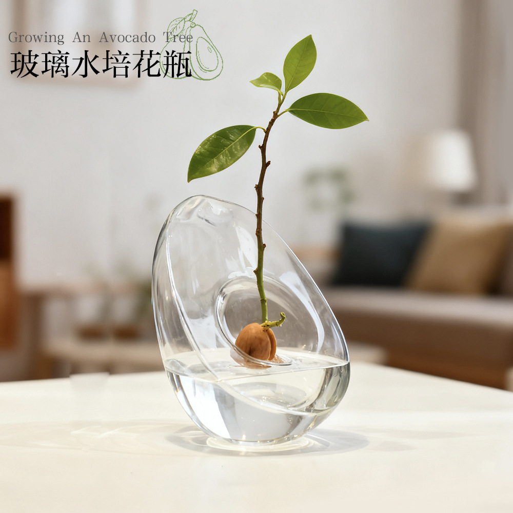 Vaso hidropónico de aguacate modelado para semillas de núcleo de aguacate, recipiente de cultivo y recipiente especial para jardinería