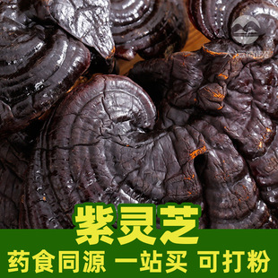 �`֥����֥��1kgʳƷ���в�șԭ���Ͽɴ��Reishi