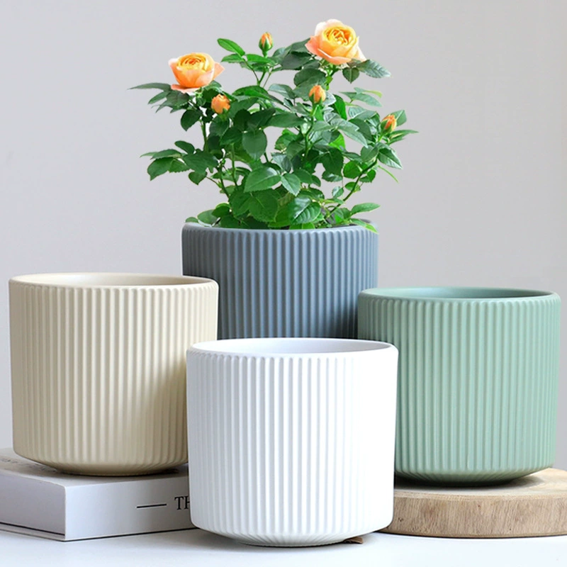 Фаленопсис большой орхидея с цветочным горшком керамический матовый мясистый поднос скандинавский минималистский цветочный горшок зеленый горшок столешница