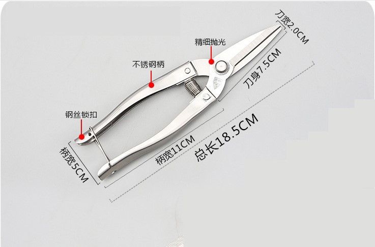 不锈钢单钉