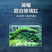 Fish tank custom living room aquarium turtle aquarium tank跨