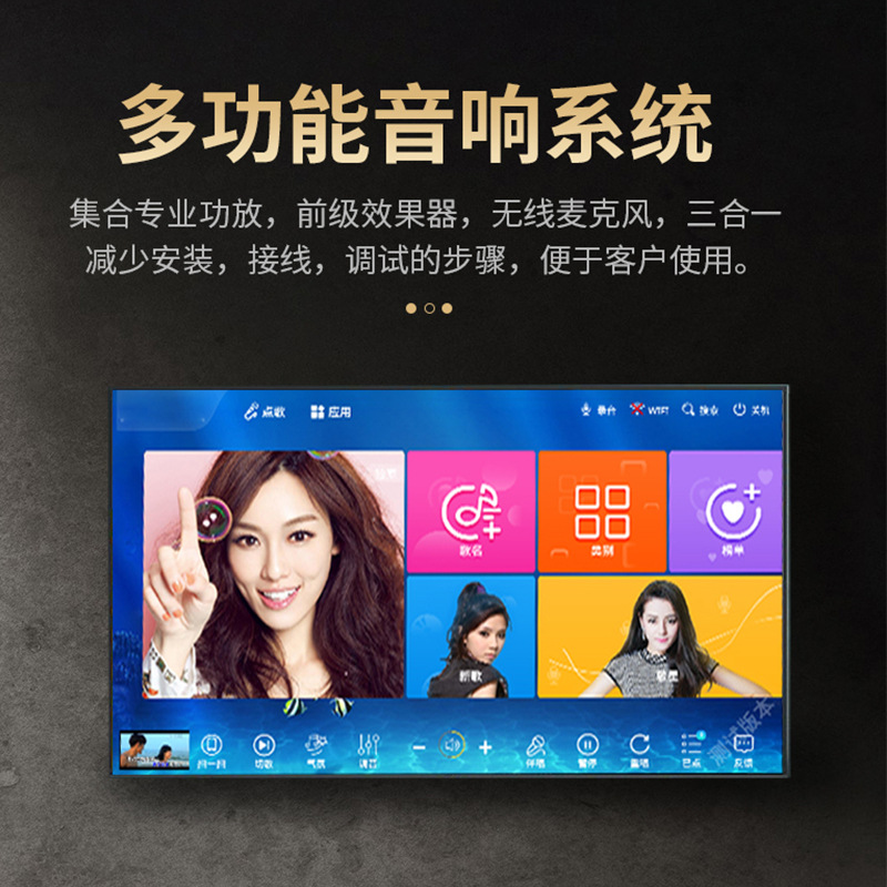 10-pulgadas de 12 pulgadas de audio KTV titular de la tarjeta de Casa de karaoke de audio para el hogar equipo de audio juego de altavoces conjunto Al Por Mayor