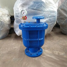 ���wʽ�ͺ�ʽ�Ś��y CARX DN50-DN300