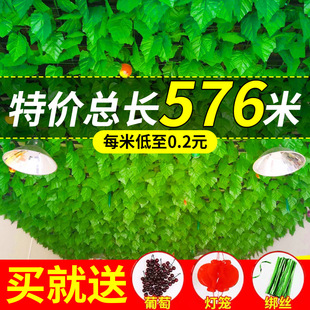 ���������~�����ٻ��ٗl��픘��~��ˮ�ܵ��b��p�@�Gֲ�����ϾG�~