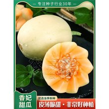 ������Ӵ�ȫ������������̱�ʯ����������ˮ�����ܹ����������