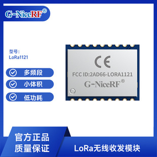 Ce/Fcc Lr1121 Solution Development Sub-Ghz 2.4Ghz Satellite Band Rf Module Lora1121