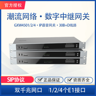 E1 digital relay gateway power flow network GXW4501/2/4 concurrent processing 120 channels 30B + D lines