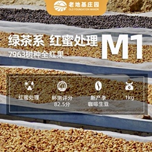 甜茶小妇人 红蜜手冲 咖啡生豆 云南小粒咖啡豆老地基庄园1KG