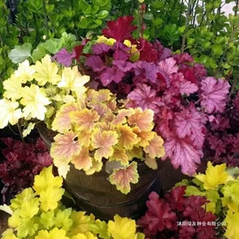 儿童读物;社科生活;四件套