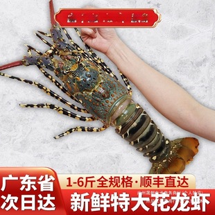 �����r������r�ك��ش����r����������������r�r��rˮ�a���r