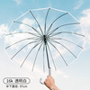 WPC oil painting cat transparent umbrella INS high face value cure system creative 8 bone automatic fiber long -handle long umbrella wholesale