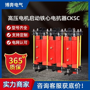 Высоковольтный пусковой реактор с сердечником двигателя 315 кВт Q/CKSC-480/10-6% 5,46 Ом 6-10-12 кВ