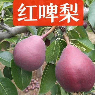 �tơ�殔��ˮ�����r̫�����ơ������t��һ��t��tƤơ����5��