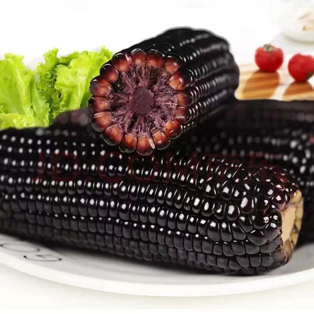 New Arrival Glutinous Black Waxy Corn Sweet Sticky Glutinous Vacuum Packaging Corn
