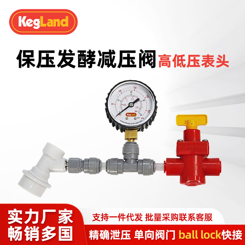 Craft Beer Pressure Fermentation Equipment Carbon Dioxide Pressure Reducing Valve Co2 Meter Gas Cylinder Pressure Pressure Gauge Pressure Reducer