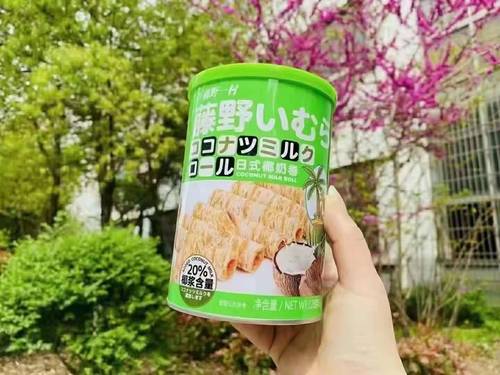 Fujino Ichimura sea salt Japanese round finger biscuits coconut milk roll chocolate roll Hokkaido shrimp crackers canned