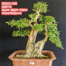 ������ɽ������Ϟ�깦�Ϙ��̨ͥԺ�辰�ͺ������͟�Ř������q