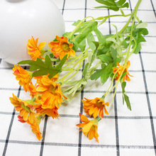 ����С�ջ� �Ҿ��b���С�u�� ���滨����СҰ����ʽ��@�L�ٻ�