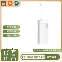 Imply Water Flosser Portable Water Flosser Household Tooth Cleaner Electric Orthodontic Specialized Gum Line Cleaning Gadget