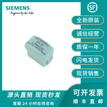 SUIEMENS西門子S7-200 PLC記憶鋰電池卡6ES7 291-8GF23-0XA0