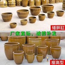 老式大口装晒酱带盖米缸家用陶瓷土腌储水缸咸菜面粉小发酵垒德株