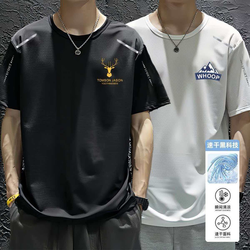 Cross-Border Foreign Trade Mesh Ice Silk T-Shirt Men's Round Neck Quick-Drying Casual Short-Sleeved Trendy Printed Breathable Large Size Sports