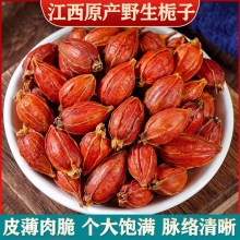 野山栀子包邮红栀子茯苓泡水喝栀子果玉米须芹菜籽茶真货好货