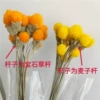 Reminder: Gem straw and wheat straw are shipped randomly.