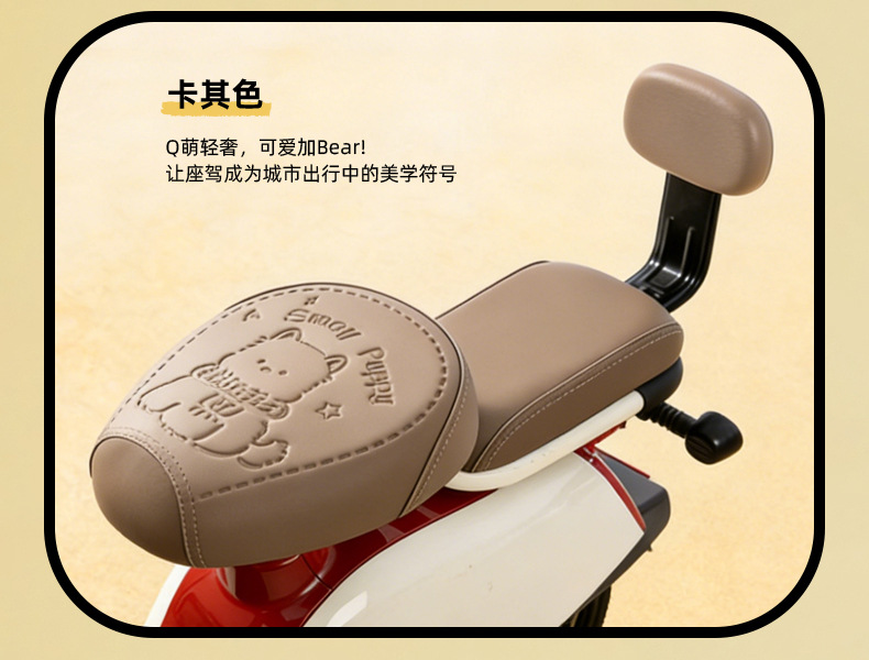 Simple Style Electric Vehicle Seat Cover, Waterproof and Sun-Proof, Suitable for Small Electric Bikes, Compatible with Yadea, Tailg, and Aima