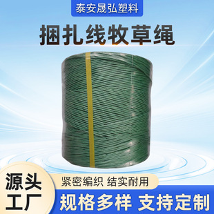 ̩���W�j�z�����K�r�I���K�{�Ӱ����ϳ��ھW���S���Ϲ��S�����K��