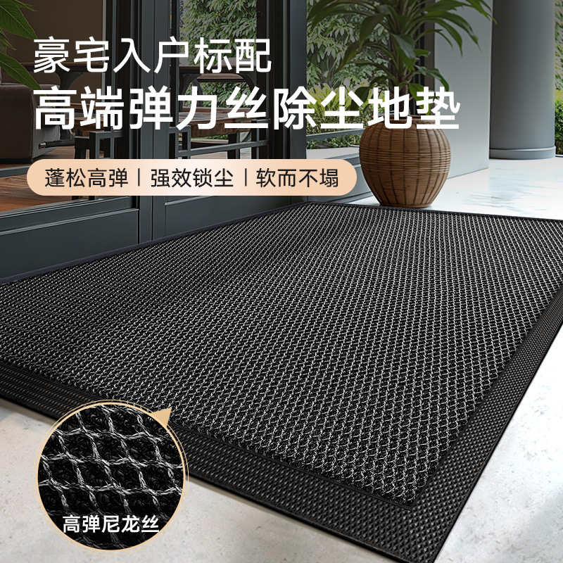 Modern Simple Solid Color Home Elastic Silk Floor Mat Entrance Door Stain-Resistant Anti-Slip Floor Mat Sand Scraping Dust Removal Foot Mat Carpet