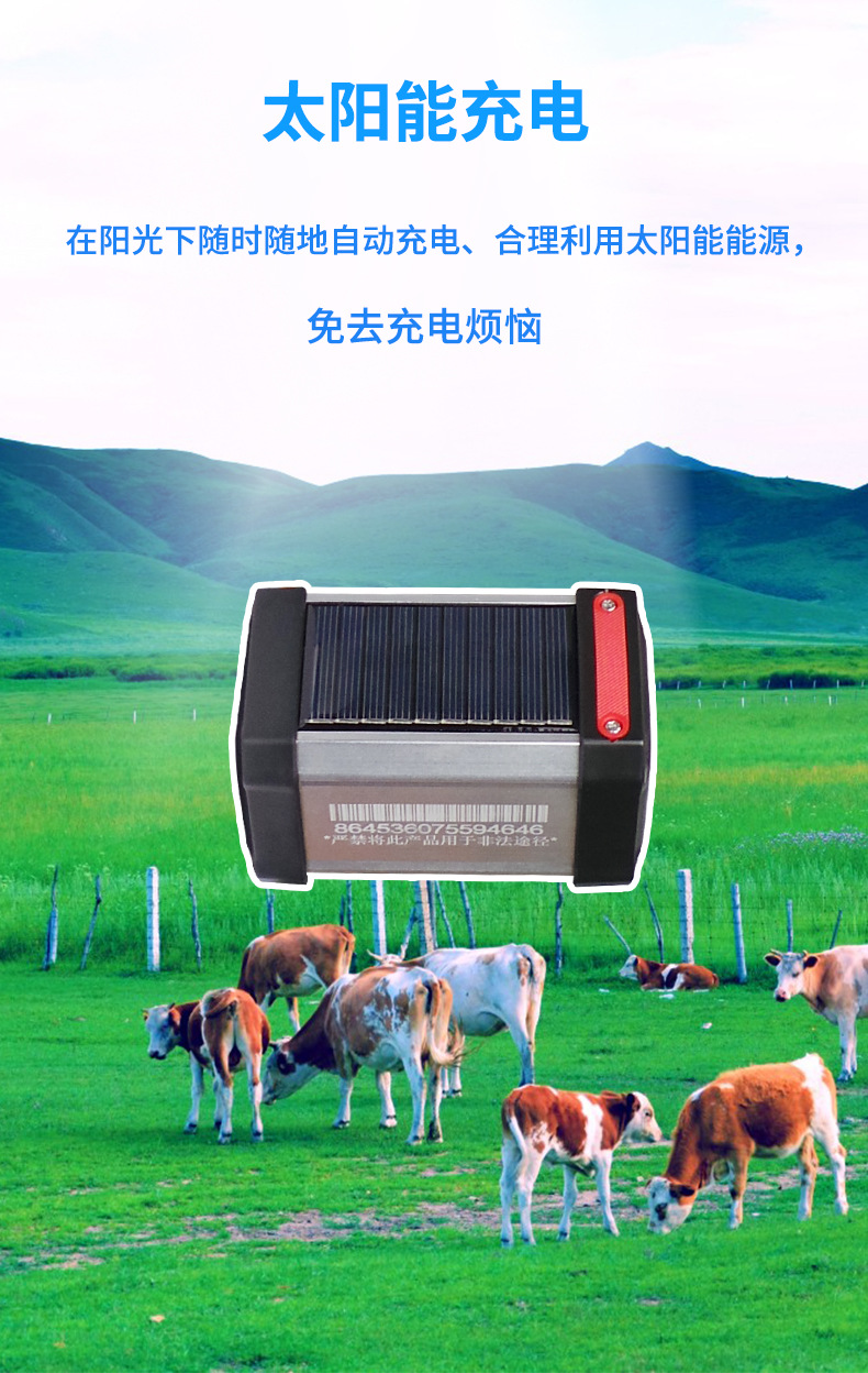 Solar 4g Beidou Gps Large-Scale Livestock Locator Mountain Grassland Grazing Tracking Artifact Trajectory Playback