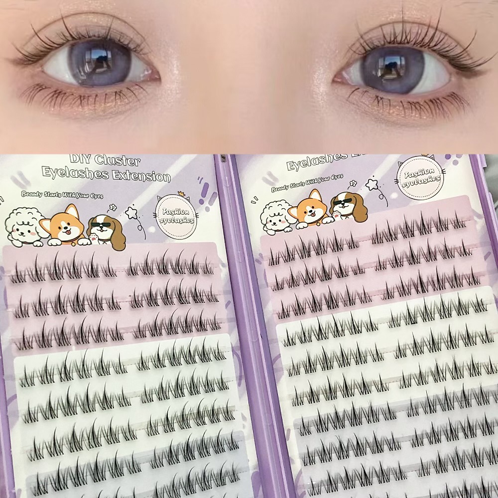 20 rows of dense MJS 03