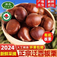 ������2024�������ЙC�w�����������r�˹��Y�x����������ɽ����
