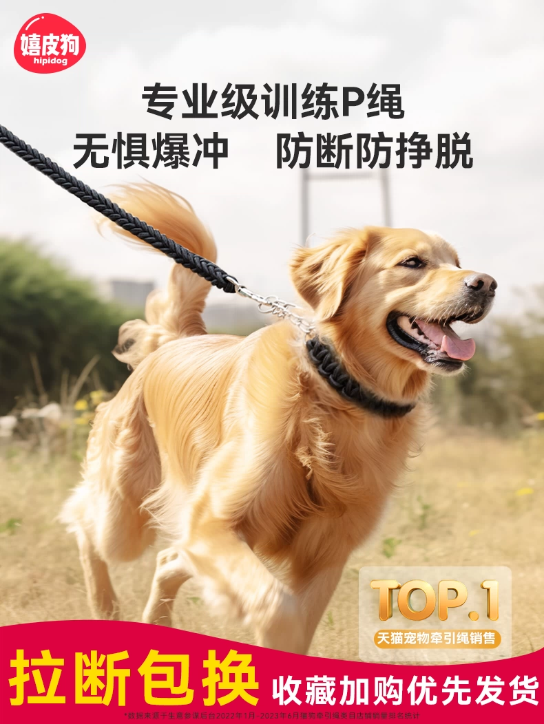 Поводок для собак среднего и крупного размера, веревка для собак золотистого ретривера, цепочка для собаки Лабрадор, ошейник для собаки, ошейник для собаки, цепочка