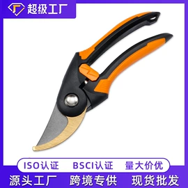 修枝剪;办公剪刀;厨用剪刀