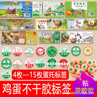 ���������S�u���И˺����ӵ��`֥�������z�������������b�N������