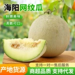 冰袋可食哈密瓜