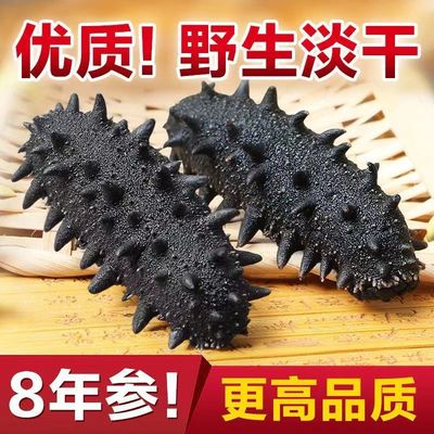 Seafood dried food Dalian wild Dried sea cucumber Gift box Nine Japonicus Liaoning pregnant woman precooked and ready to be eaten sea cucumber