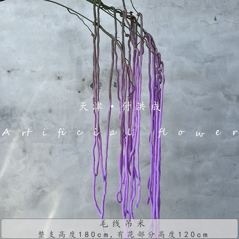 양모 매달린 쌀