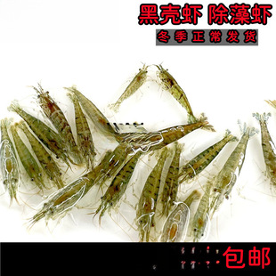 �ښ��r�����r�r���^�p�r�坍�r��ˮ�r�ѻ��r���r�ͻ���ˮ�r