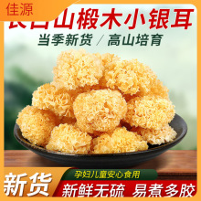 长白山椴木小银耳干货特级野生无硫出胶小朵新货糯耳羹白木耳丑耳