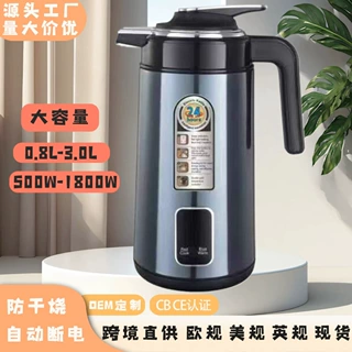 跨境烧水壶大容量水壶小电热水壶不锈钢家用电水壶迷你热跨境热销