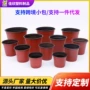 一次性加厚定制塑料育苗盆