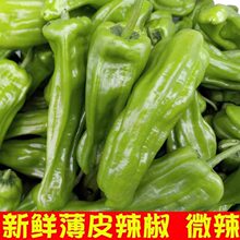 �r���ԷN���r��Ƥ����1/3�ｷ��Ƥ�ཷ�˽��r���߲ˬFժ