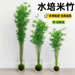 ����^�����������Pβ�������bGֲ���B�҃�������~���F����]