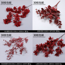 ��c�tɫ���滨��ˇ�廨���滨�ĵ���b���Y�����ٻ�����